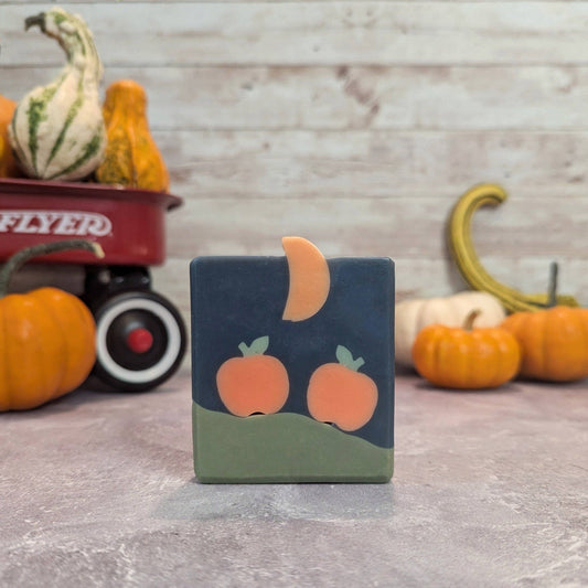 Pumpkin Patch Soap - Halloween Honey Soap