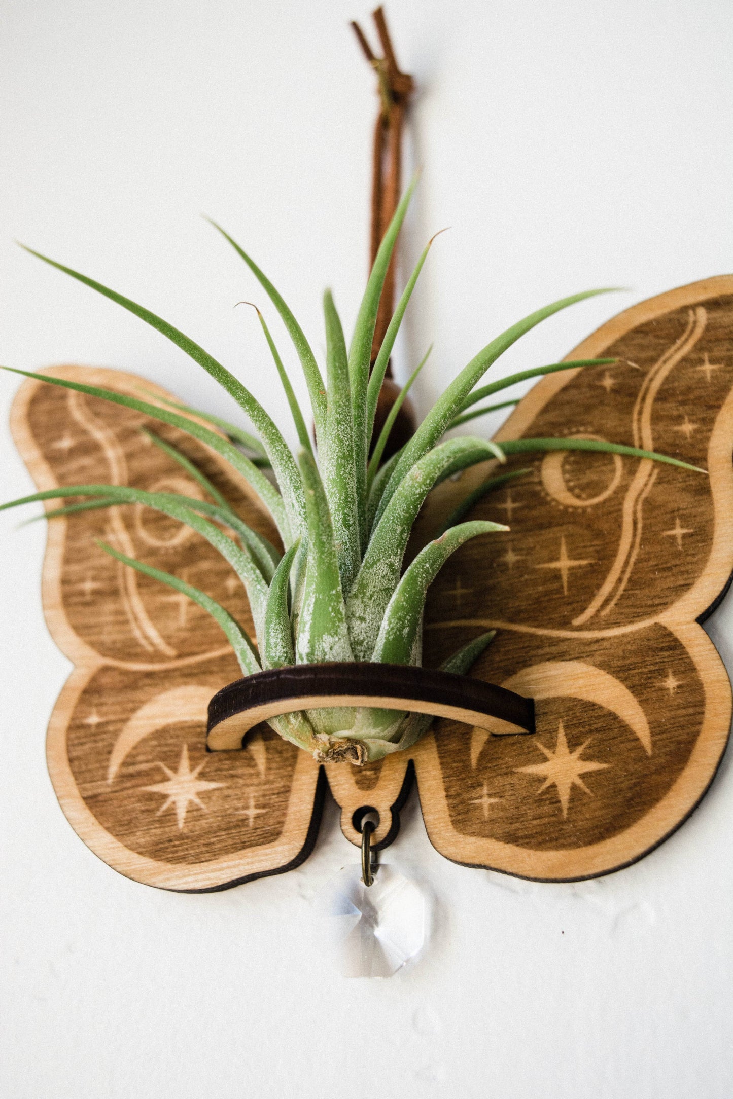 Celestial Moth Air Plant Hanger Suncatcher Crystal Prism