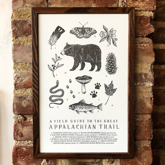 Appalachian Trail Guide