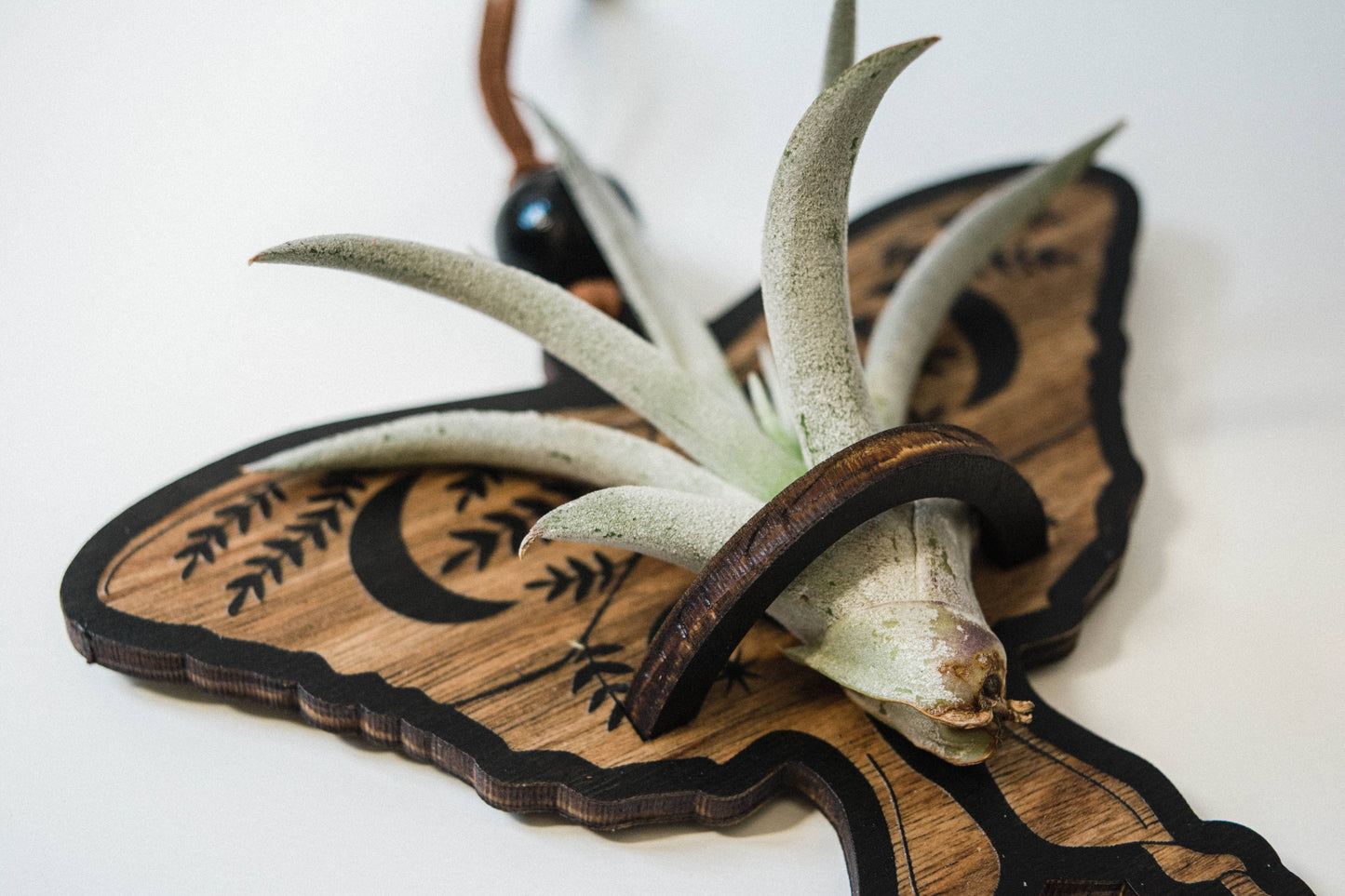 Luna Moth Airplant Holder Hanging Suncatcher
