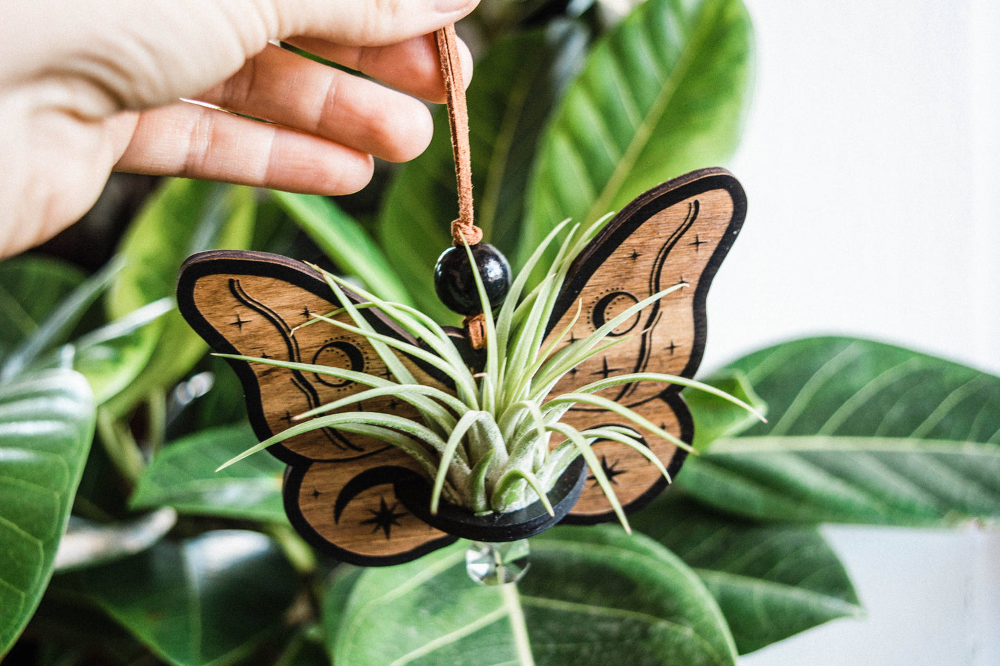 Celestial Moth Air Plant Hanger Suncatcher Crystal Prism