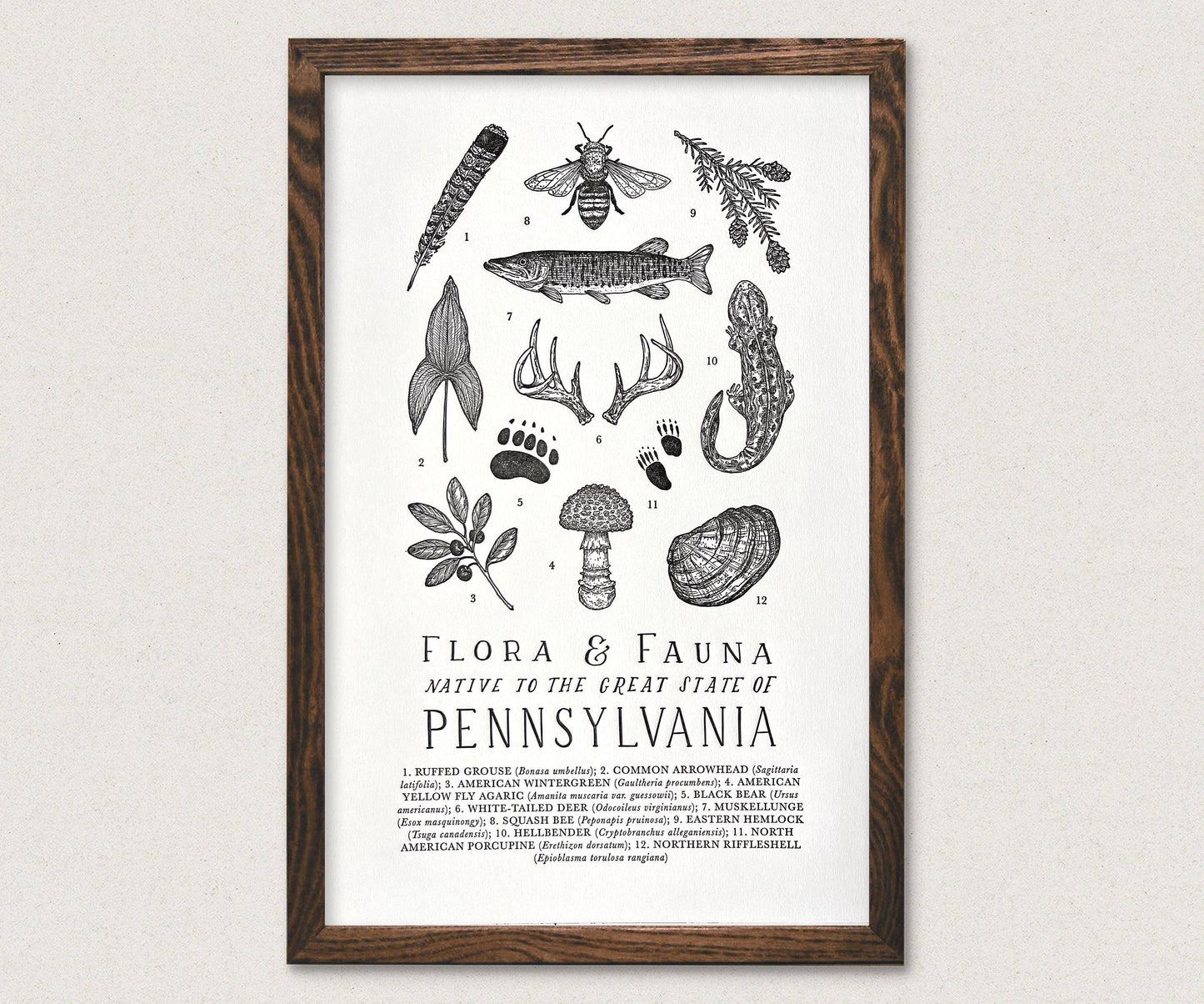 Pennsylvania Field Guide Art Print