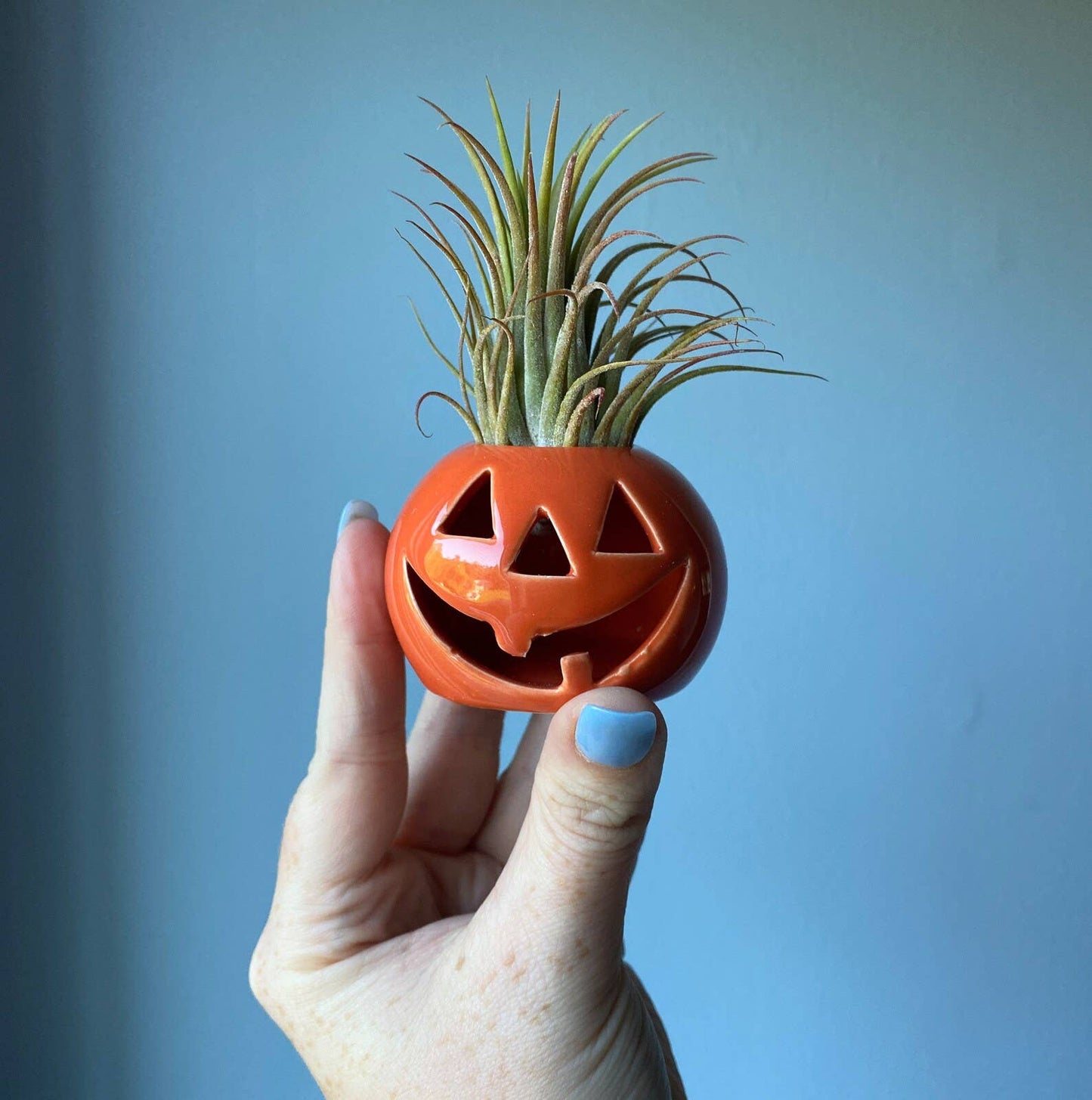 Ceramic Jack-O-Lantern Air Plant Holder