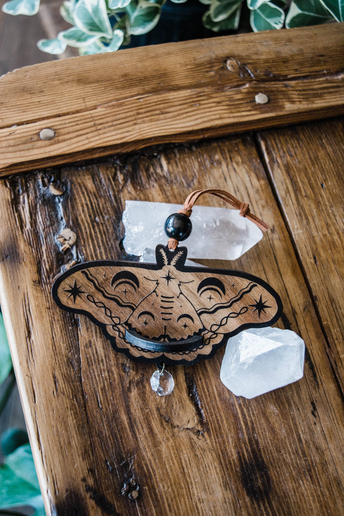 Lunar Moth Wooden Airplant Holder Wall Hanger Suncatcher