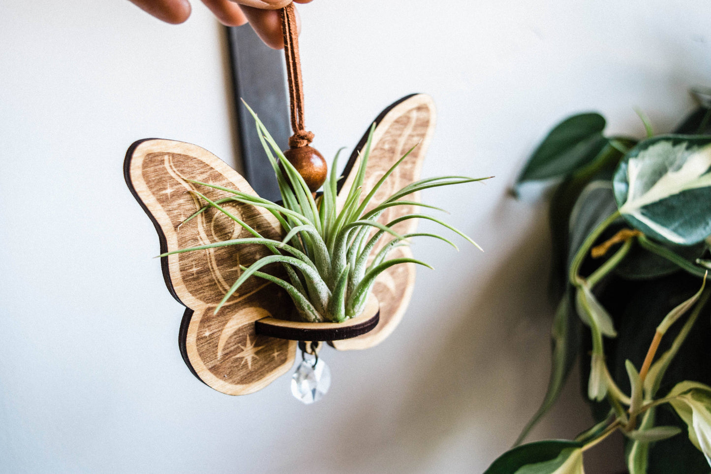 Celestial Moth Air Plant Hanger Suncatcher Crystal Prism