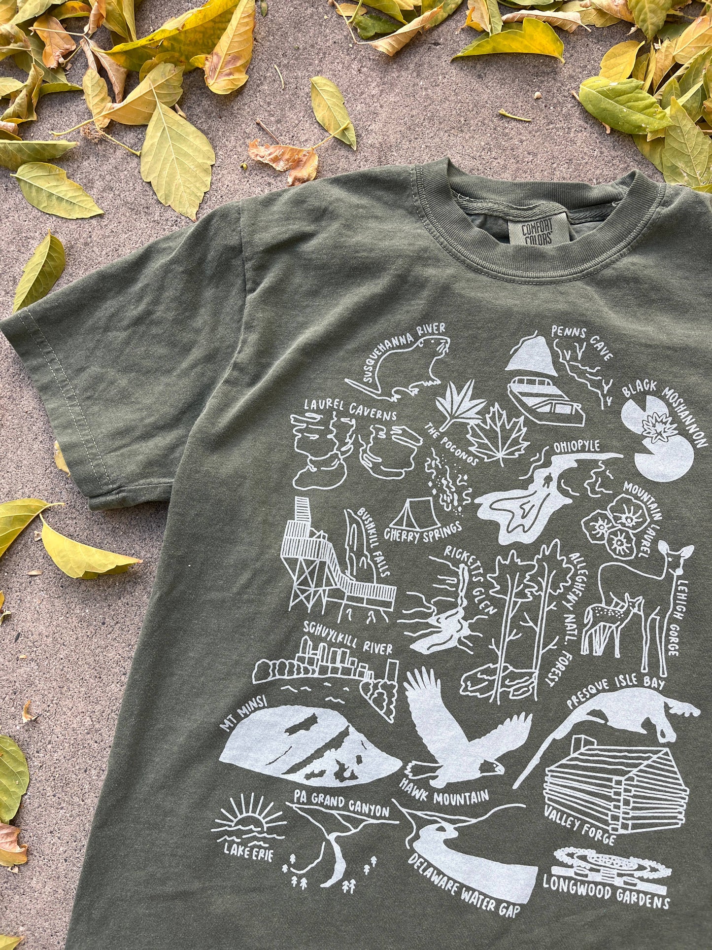 Pennsylvania Nature Souvenir T-Shirt Comfort Colors