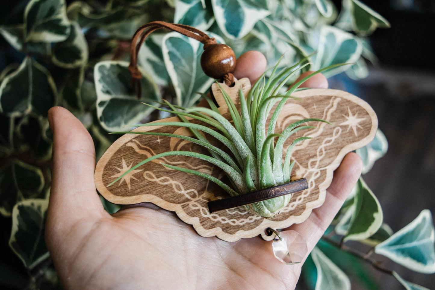 Lunar Moth Wooden Airplant Holder Wall Hanger Suncatcher