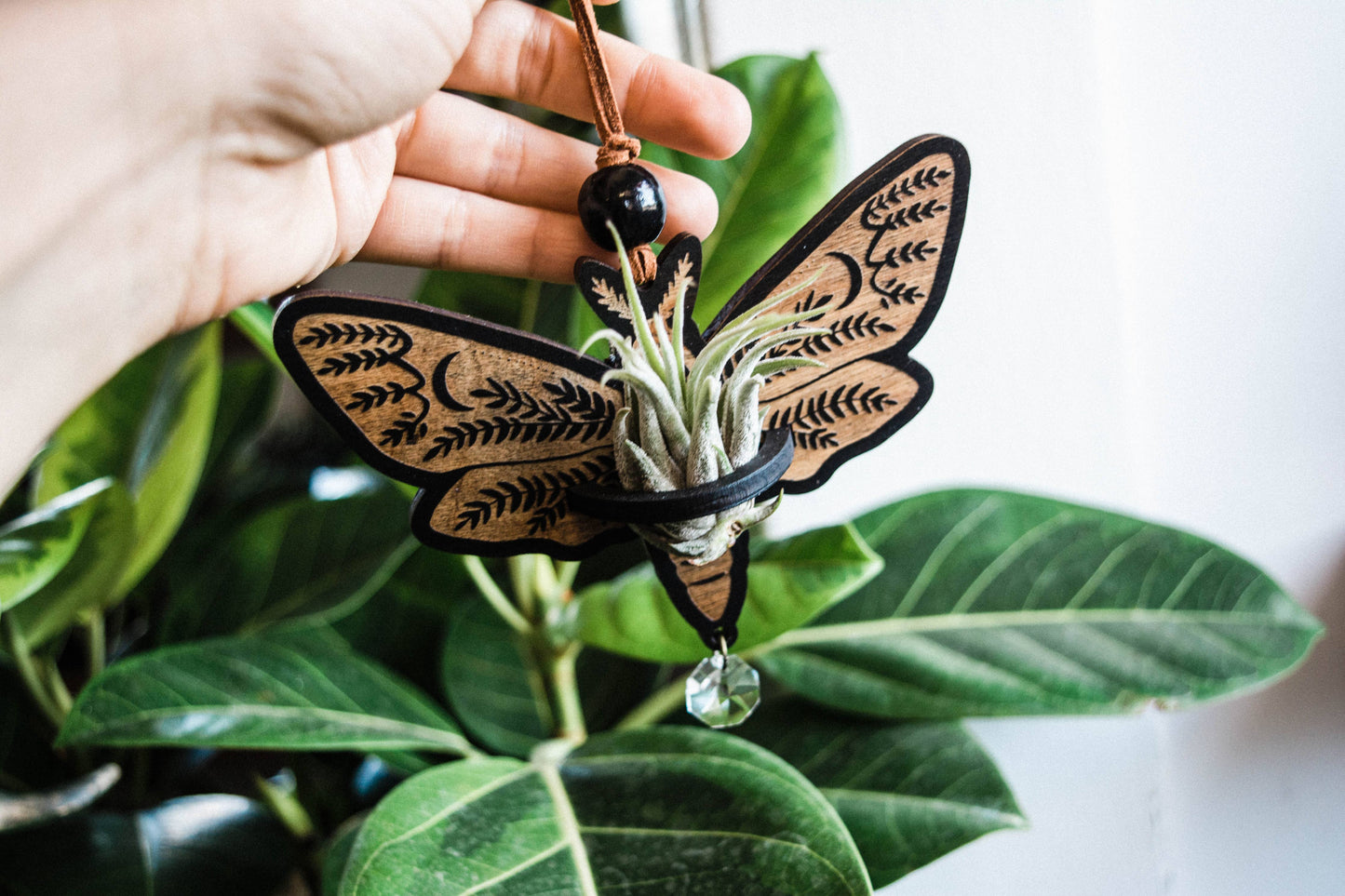 Death's Head Moth Airplant Holder Hanging Suncatcher