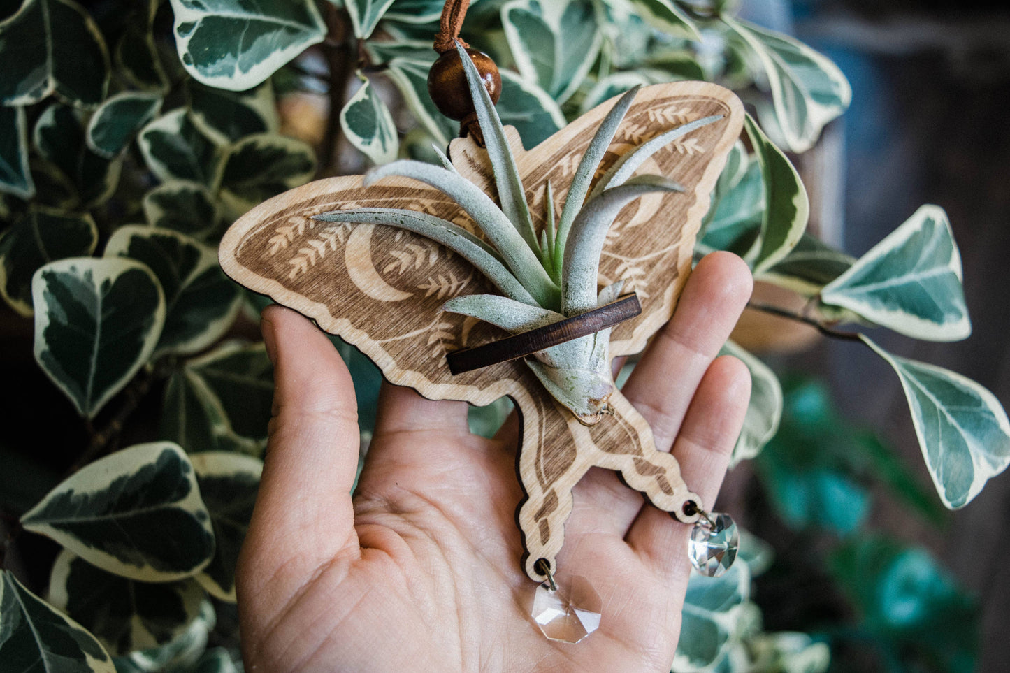 Luna Moth Airplant Holder Hanging Suncatcher