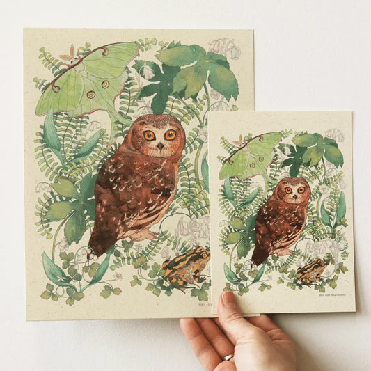 Moonlit Forest Print - Northern Saw-whet Owl