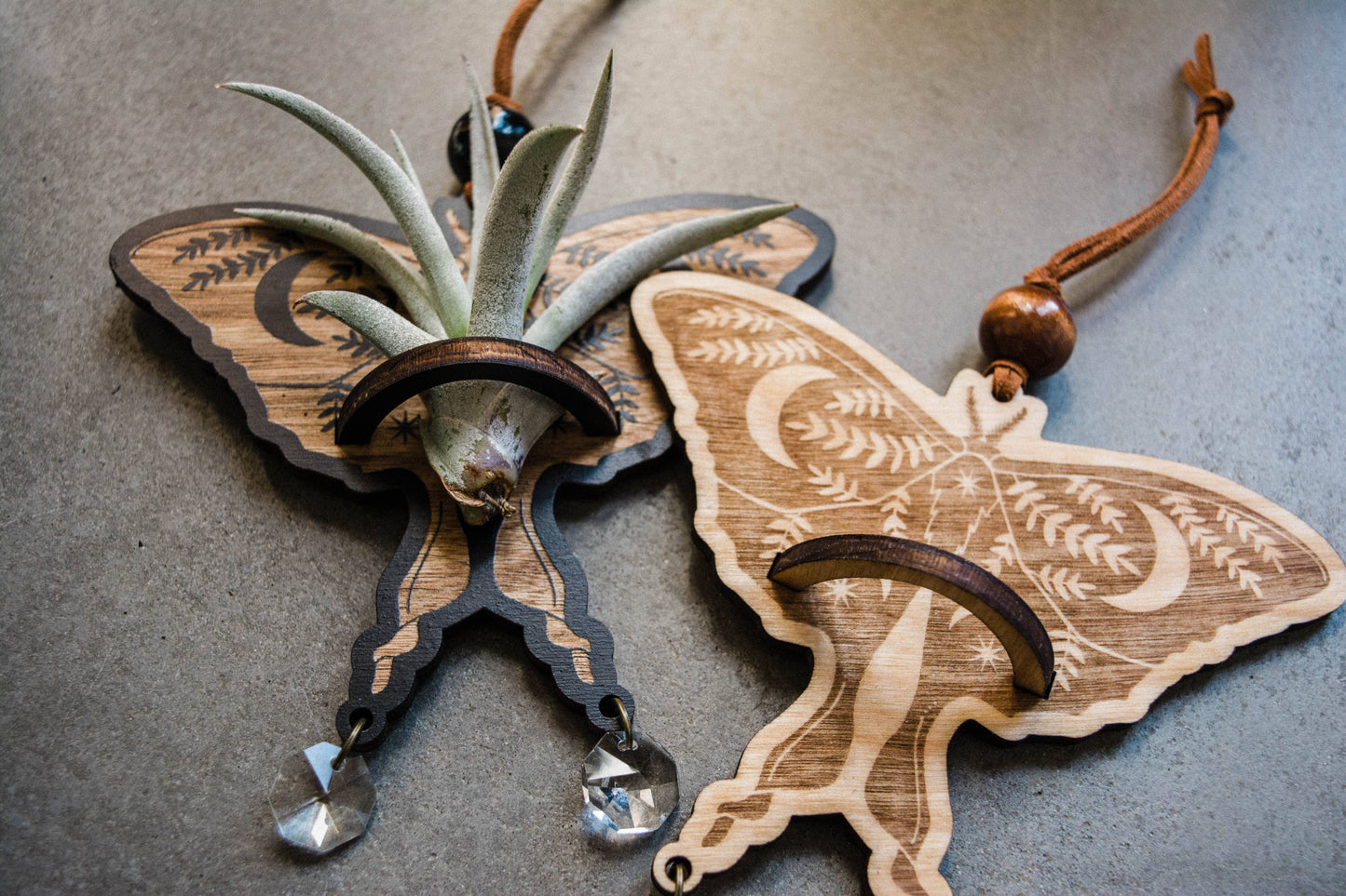 Luna Moth Airplant Holder Hanging Suncatcher
