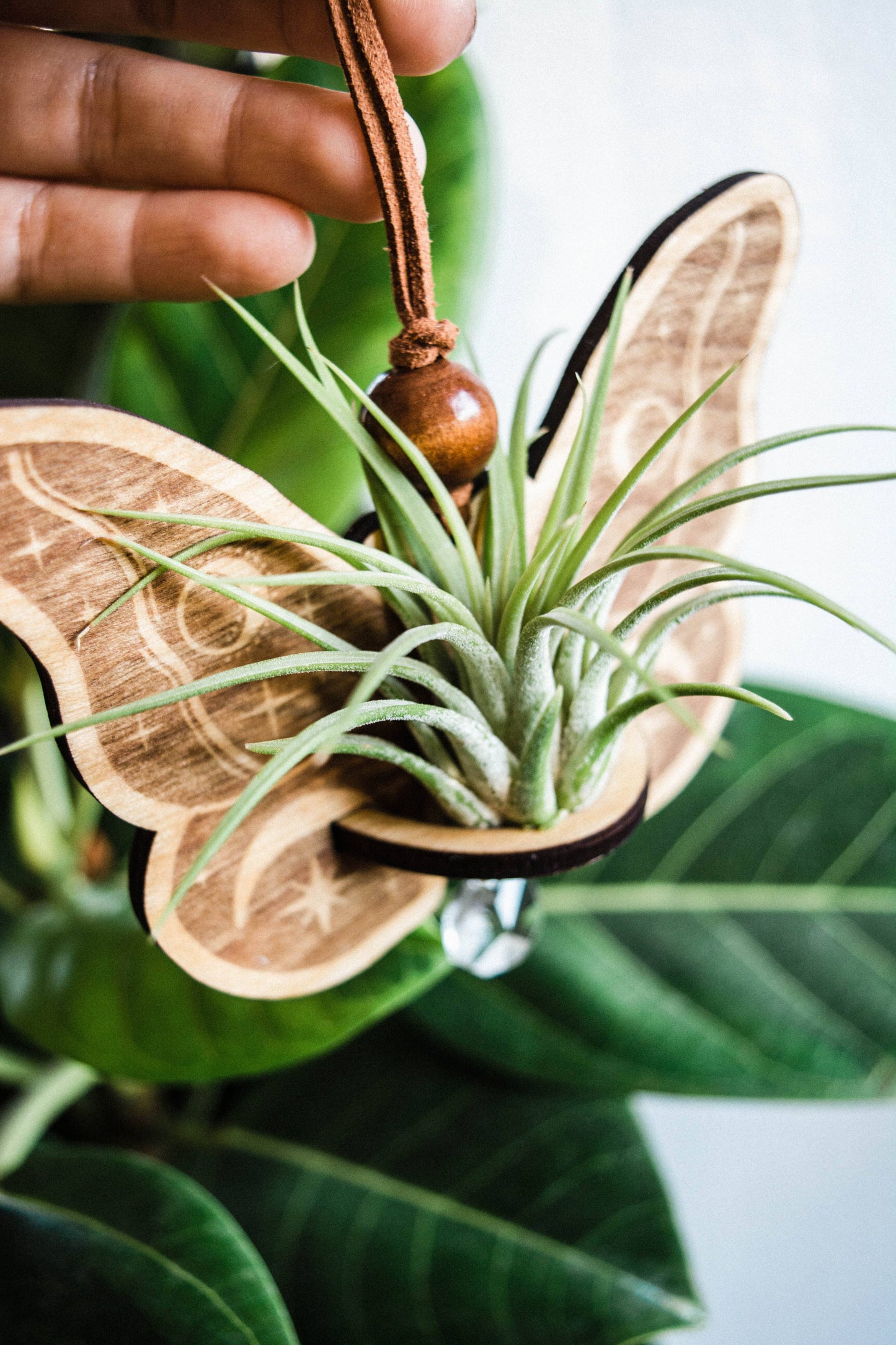 Celestial Moth Air Plant Hanger Suncatcher Crystal Prism