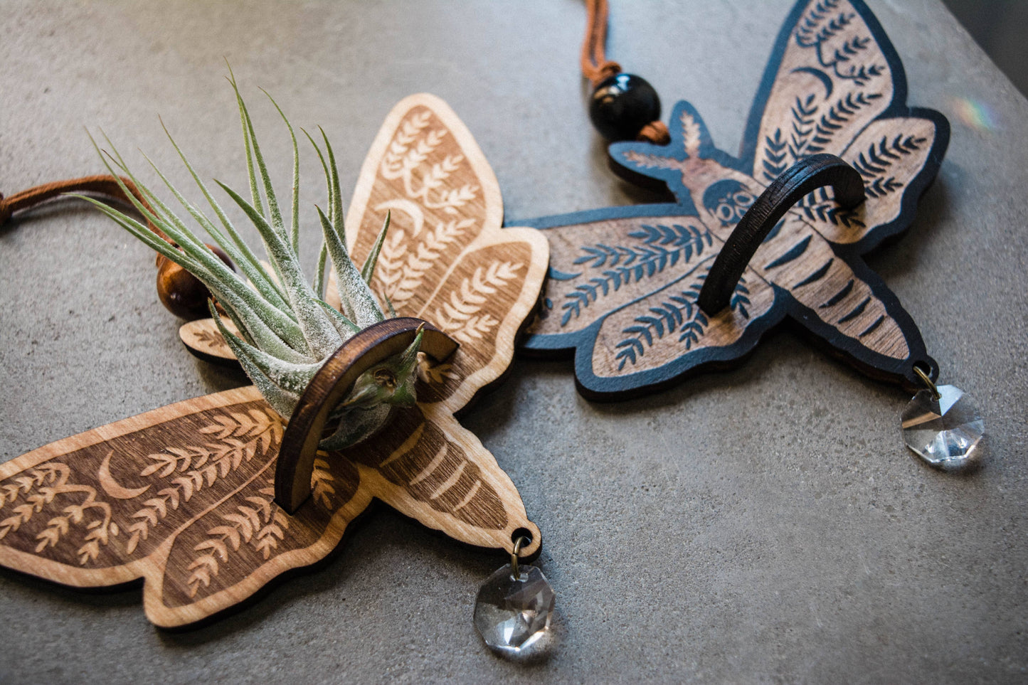 Death's Head Moth Airplant Holder Hanging Suncatcher