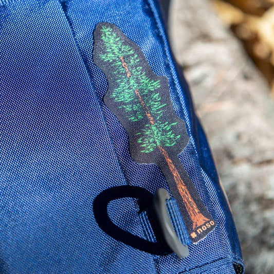 Redwood Tree Of Knowledge