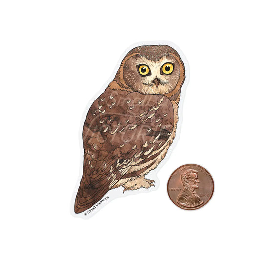 Eco-Sticker: Northern Saw-Whet Owl
