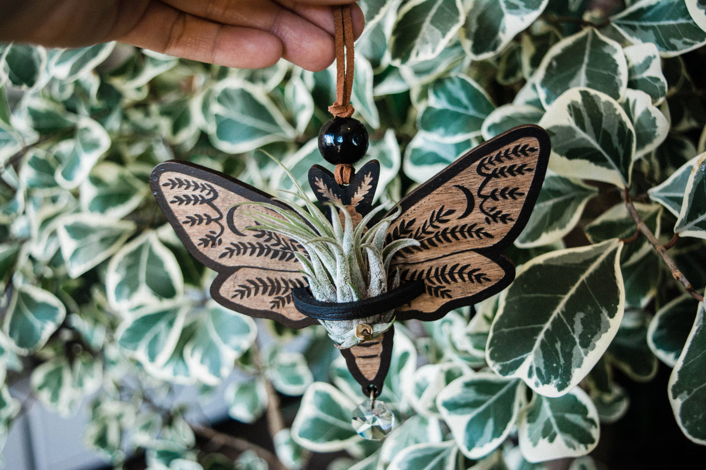 Death's Head Moth Airplant Holder Hanging Suncatcher