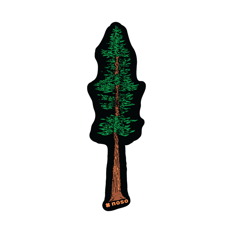Redwood Tree Of Knowledge