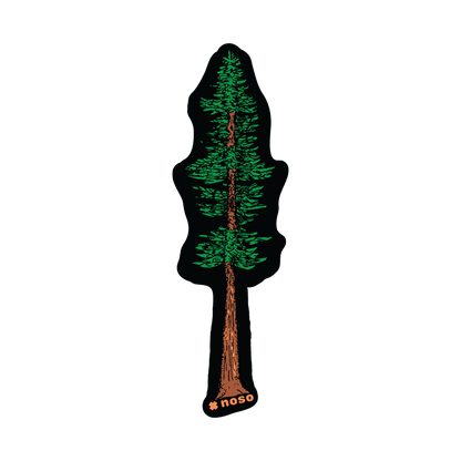 Redwood Tree Of Knowledge