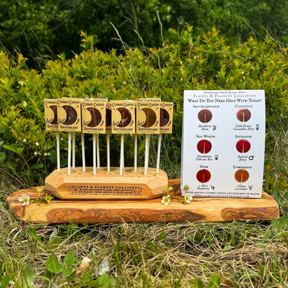 Plants & Planets Lollipops - Summer Collection Assortment
