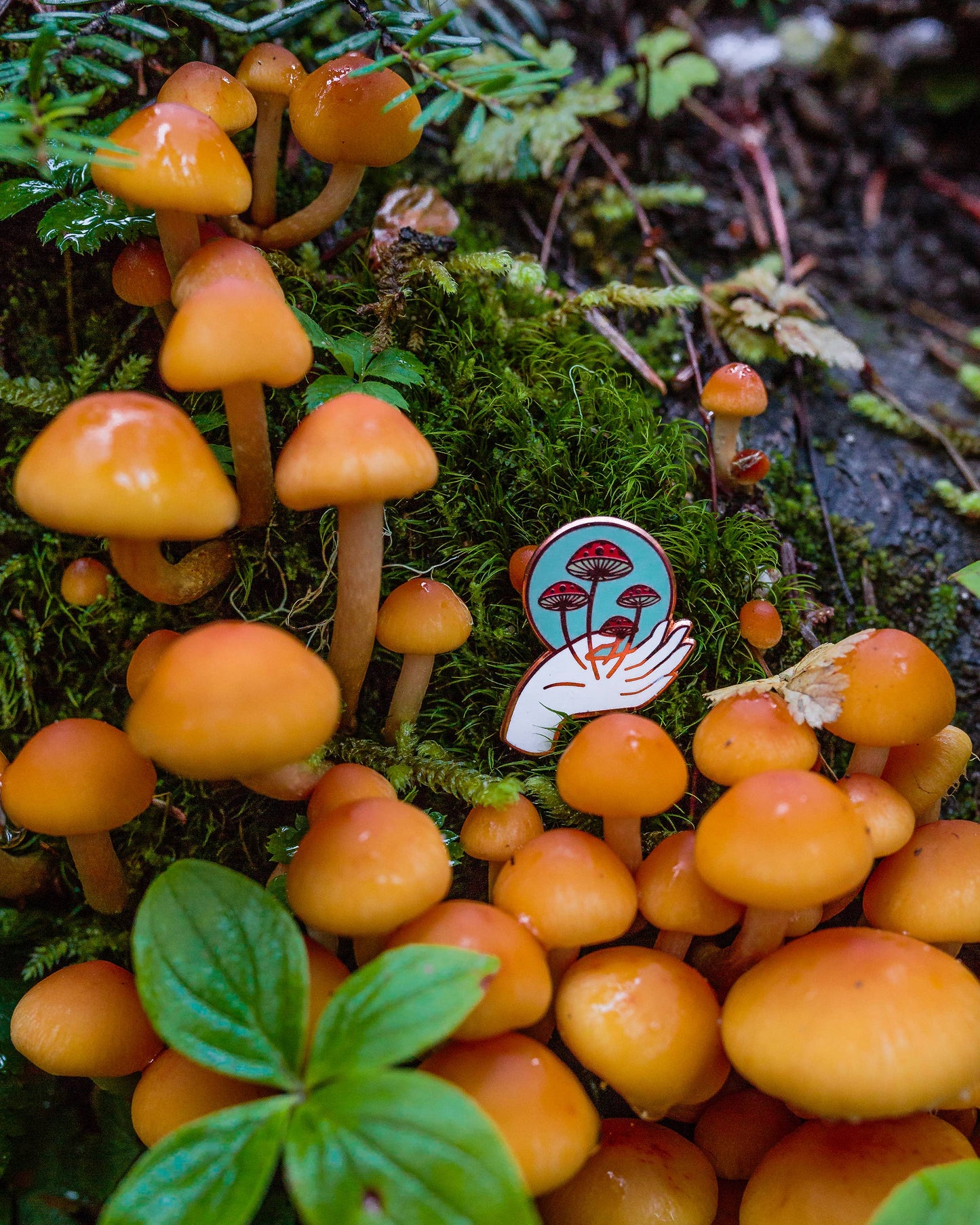 Nurture Nature Pin by Frolik Studio