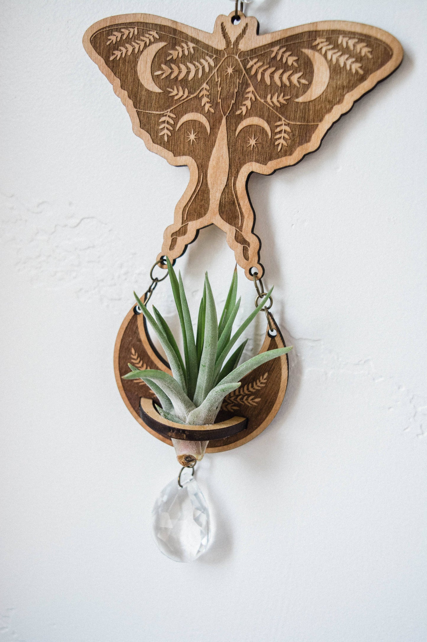 4 Moth Airplant Holder Suncatcher w/ Crystal Prisms