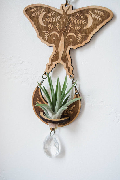 4 Moth Airplant Holder Suncatcher w/ Crystal Prisms