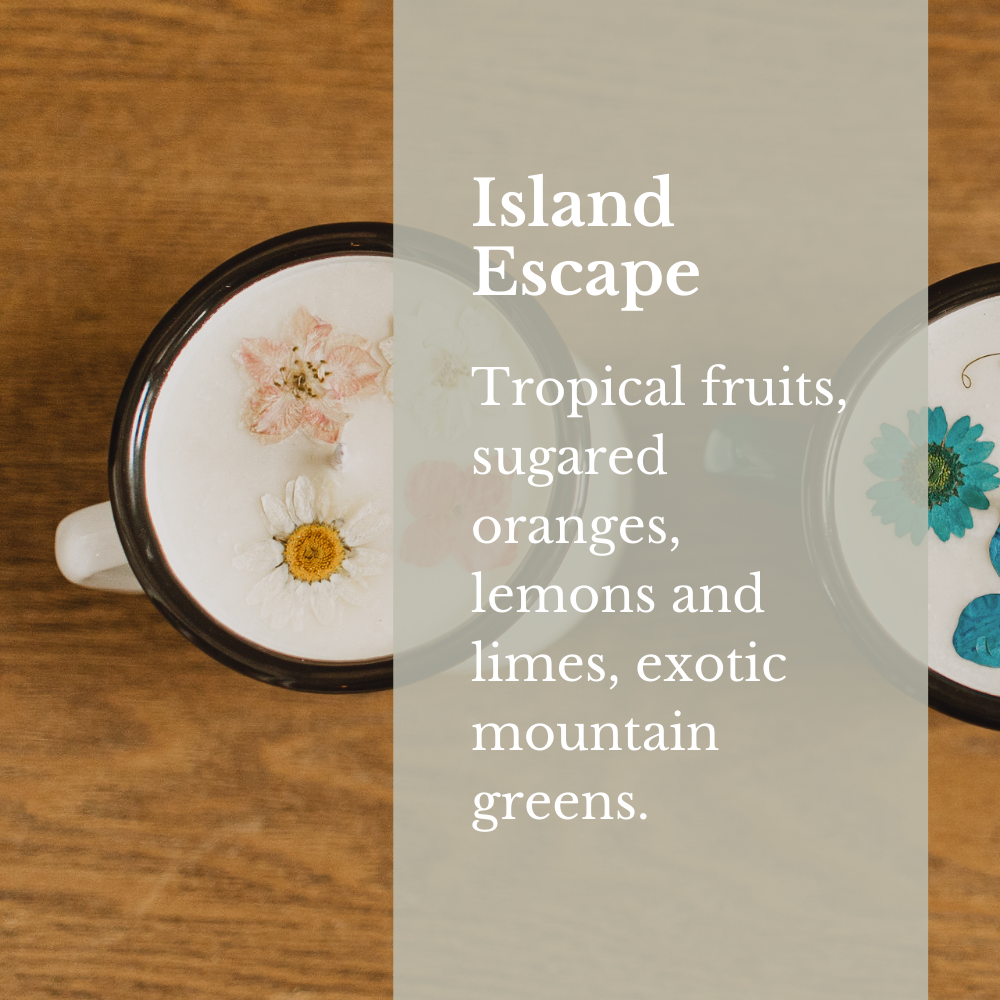 Island Escape Soy Candles