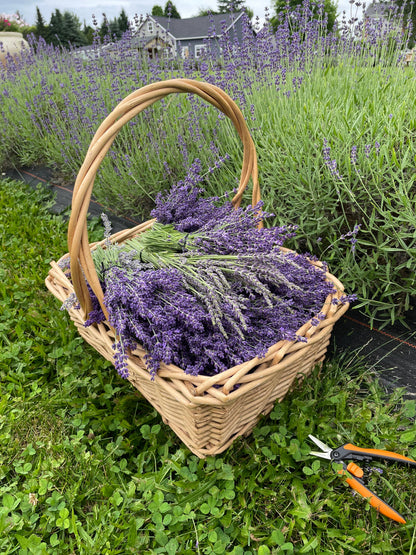 Lavender Honey Lozenges with Hand-Harvested Flowers