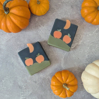 Pumpkin Patch Soap - Halloween Honey Soap
