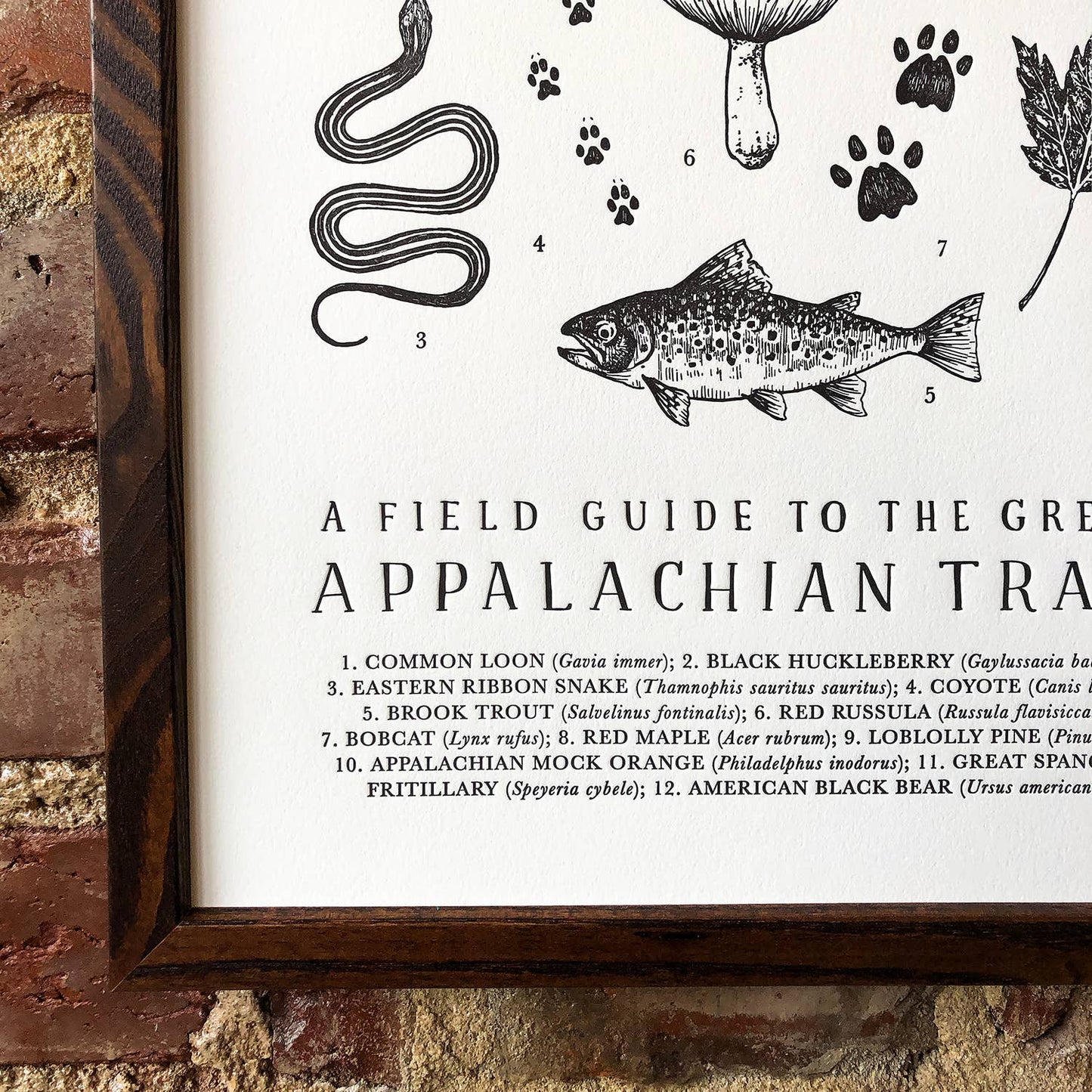 Appalachian Trail Guide