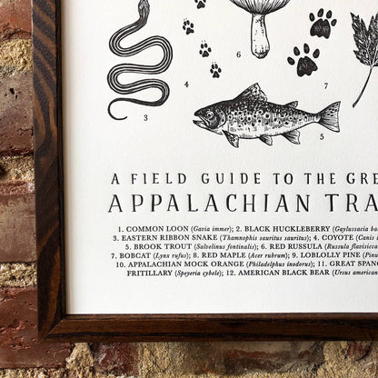 Appalachian Trail Guide