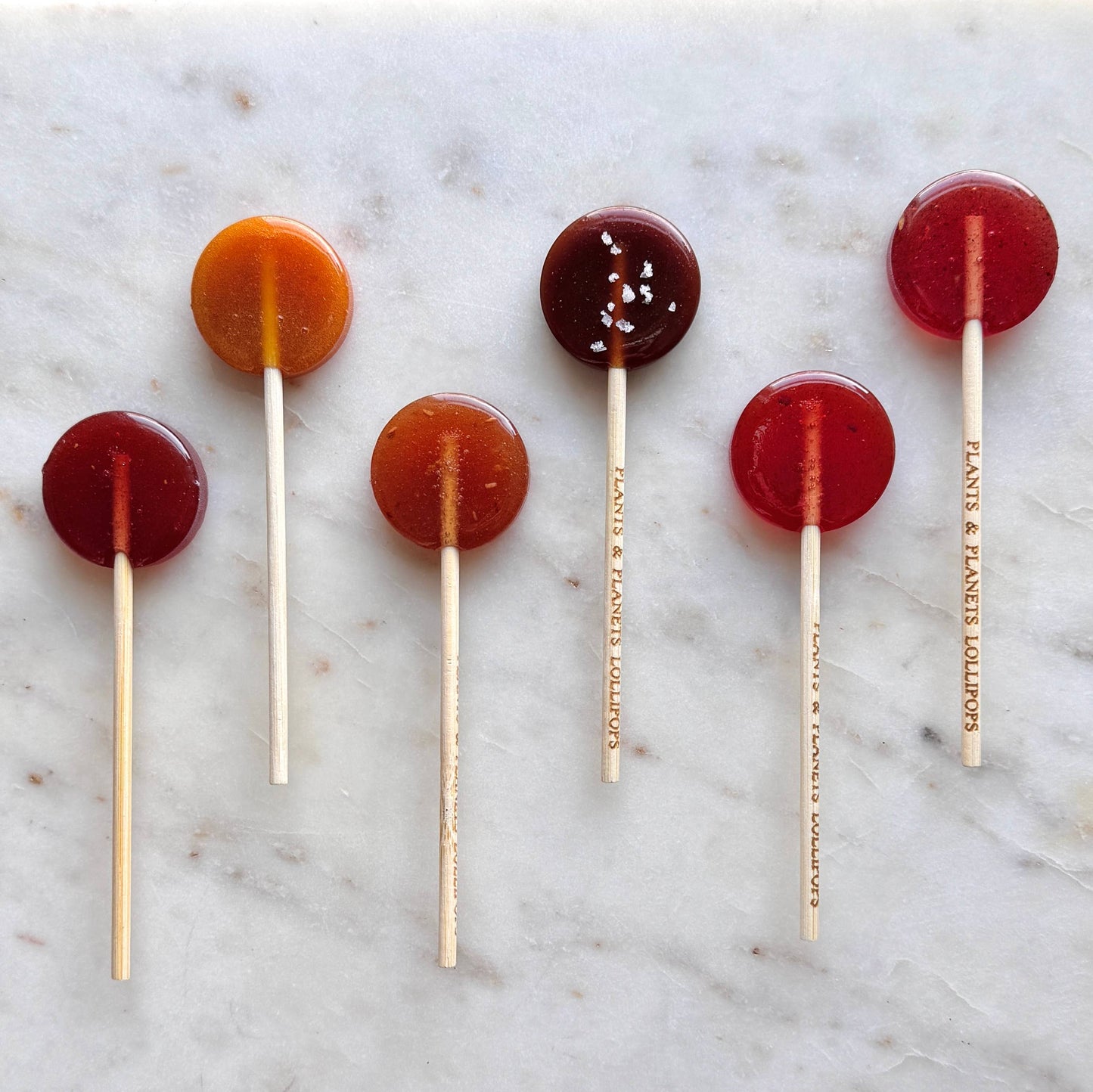 Plants & Planets Lollipops - 2025-2026 Winter Collection