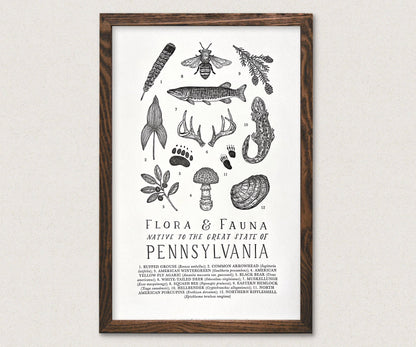 Pennsylvania Field Guide Art Print