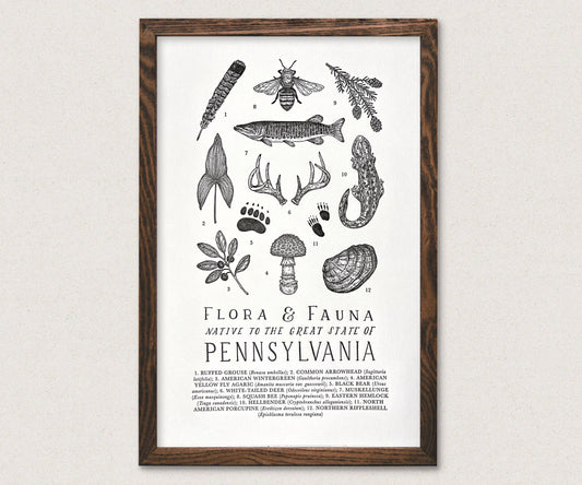Pennsylvania Field Guide Art Print
