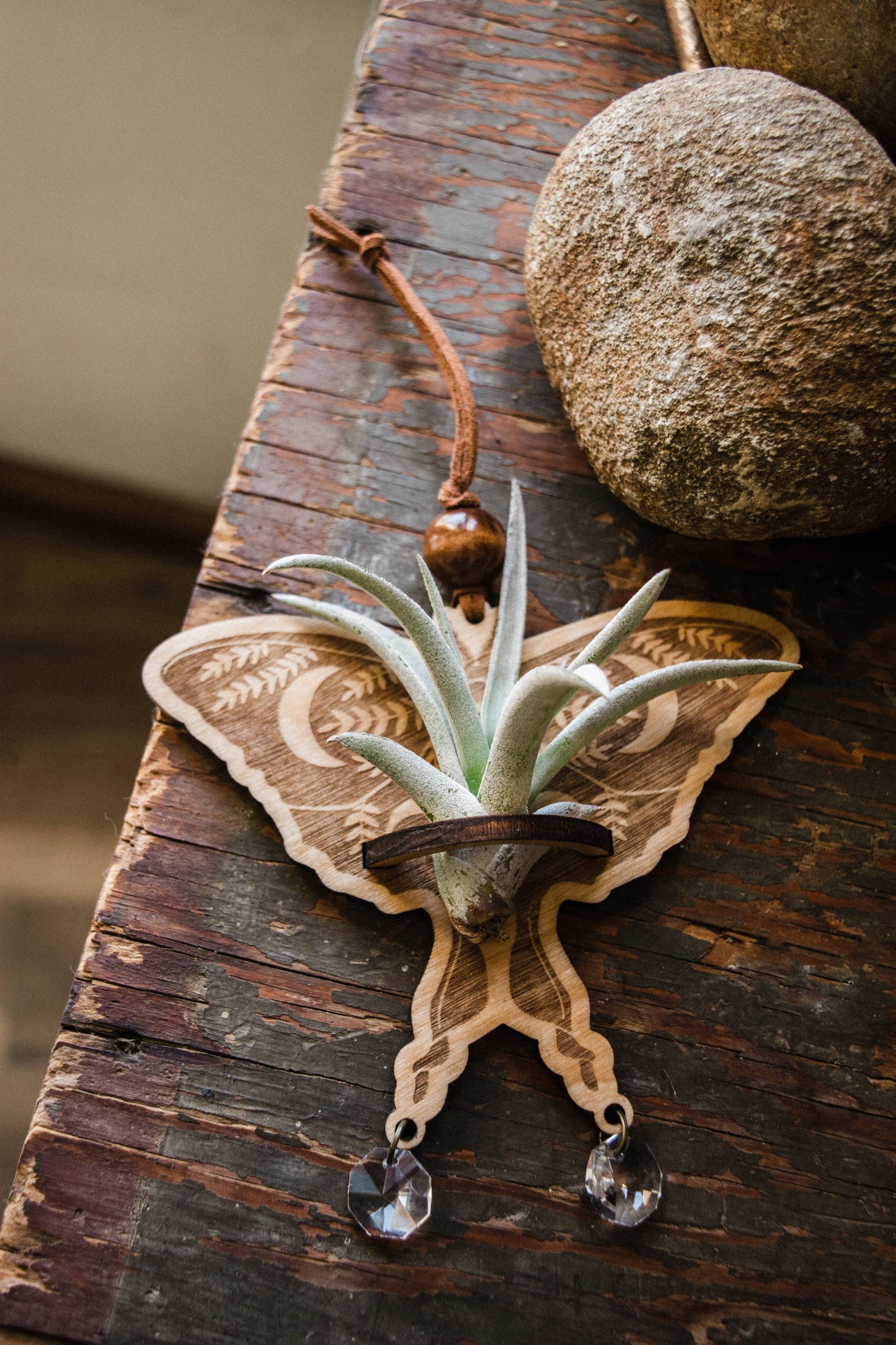 Luna Moth Airplant Holder Hanging Suncatcher