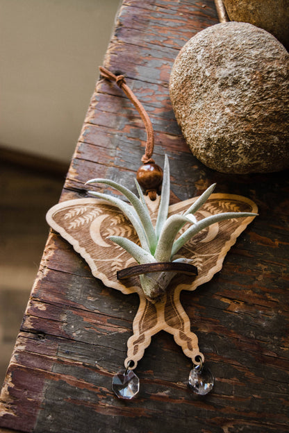 Luna Moth Airplant Holder Hanging Suncatcher