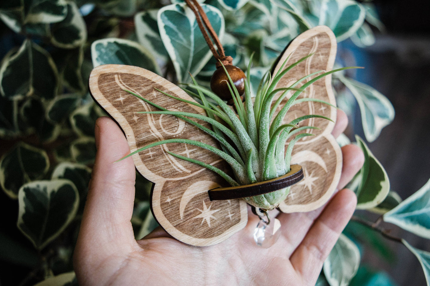 Celestial Moth Air Plant Hanger Suncatcher Crystal Prism