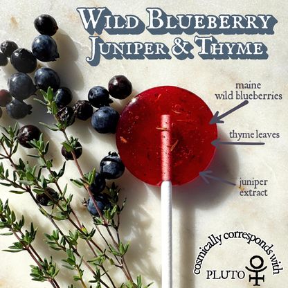 Plants & Planets Lollipops - 2025-2026 Winter Collection