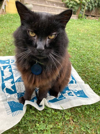 Cozy Cats Bandana