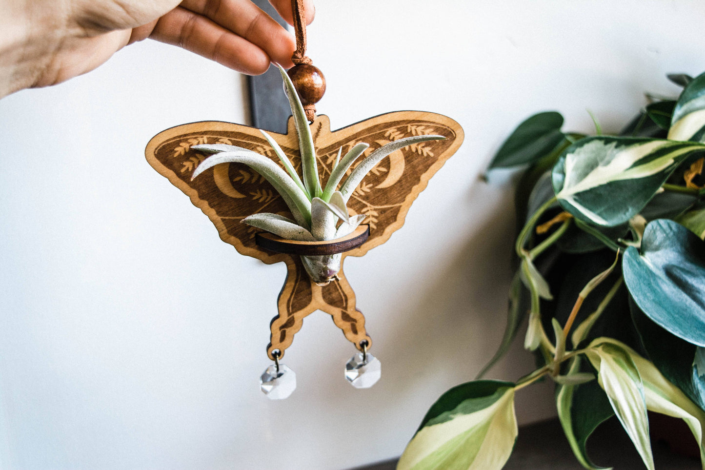 Luna Moth Airplant Holder Hanging Suncatcher
