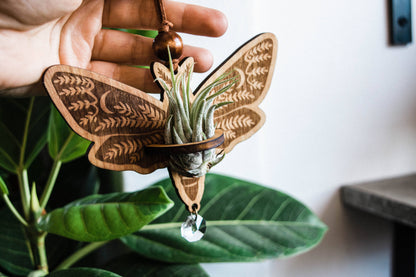 Death's Head Moth Airplant Holder Hanging Suncatcher