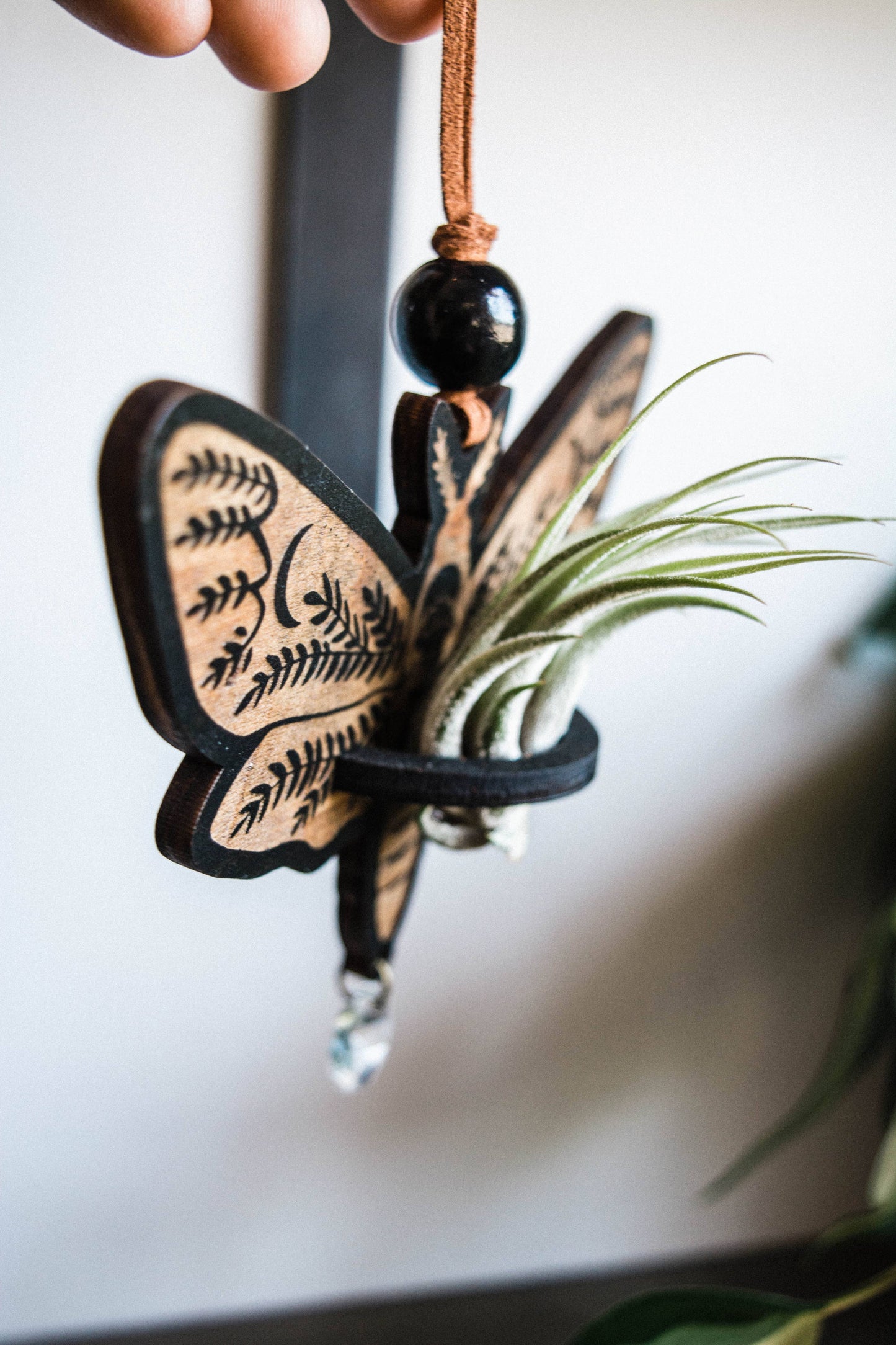 Death's Head Moth Airplant Holder Hanging Suncatcher