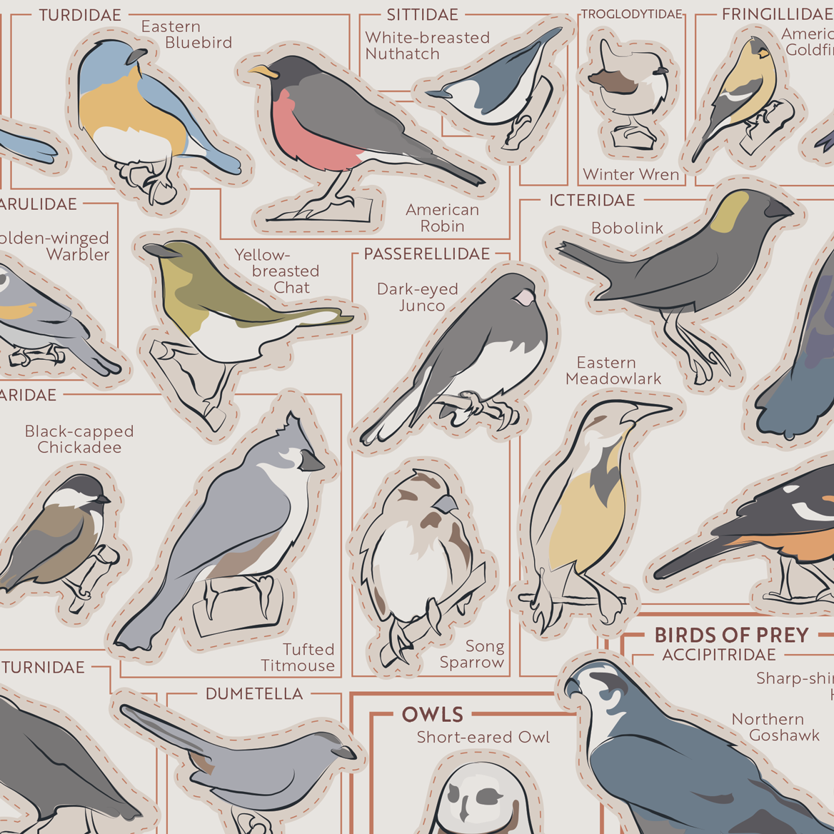 Birds of the Northeast Scratch-Off Chart | 12" x 16" Print