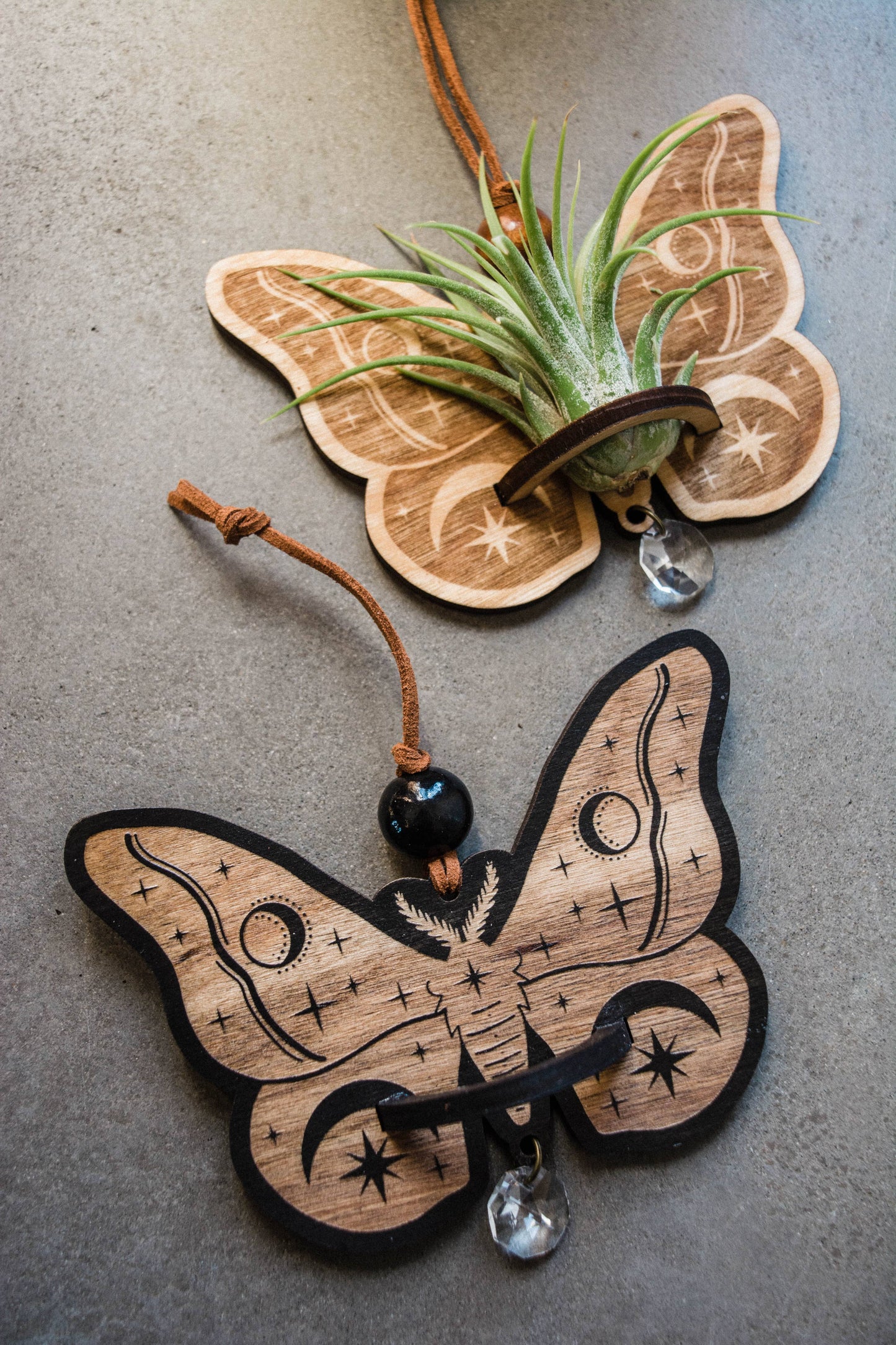 Celestial Moth Air Plant Hanger Suncatcher Crystal Prism