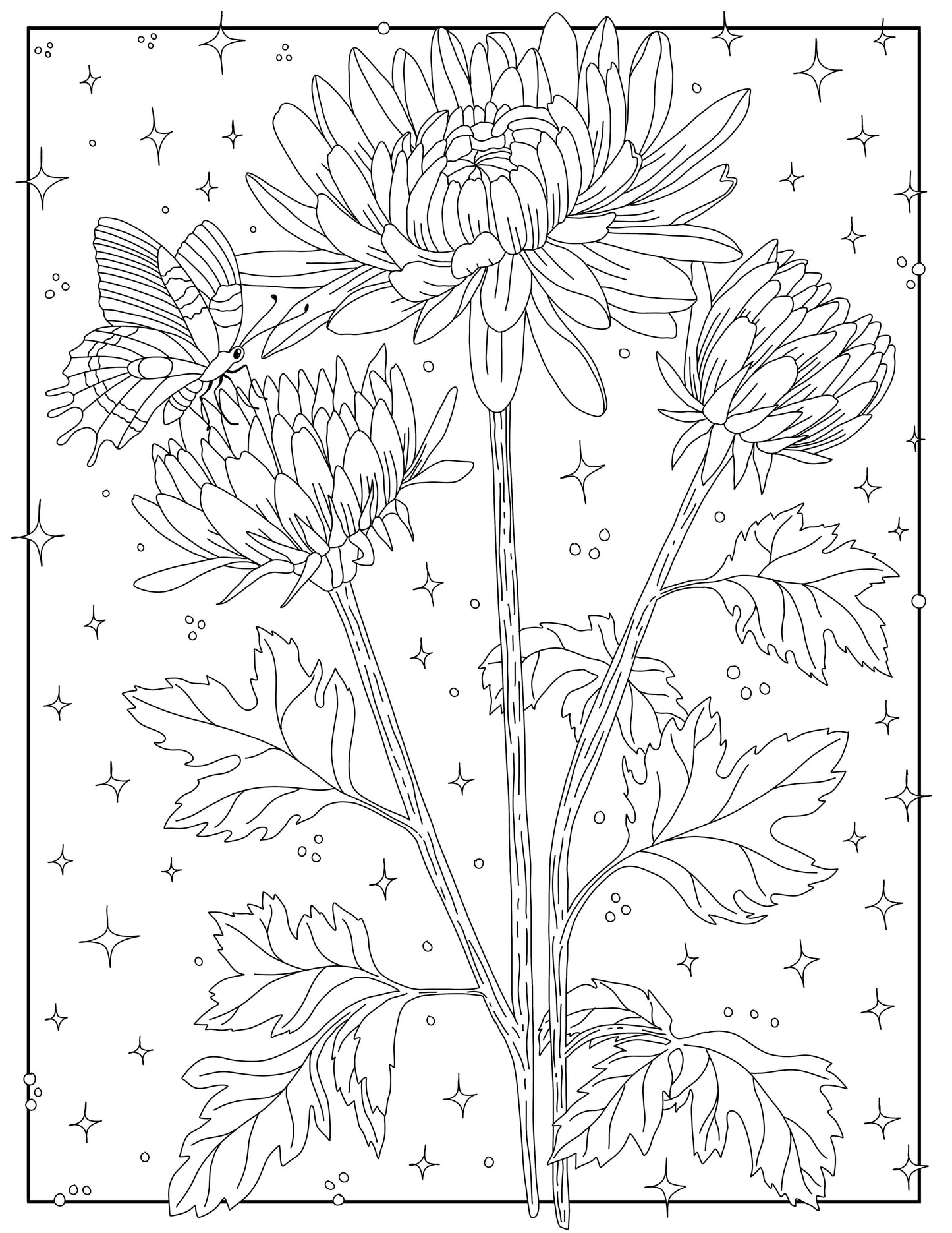 Coloring Through the Year Coloring Book
