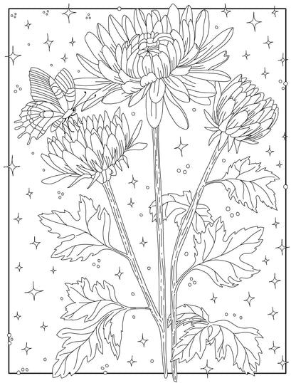 Coloring Through the Year Coloring Book