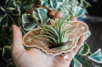Lunar Moth Wooden Airplant Holder Wall Hanger Suncatcher