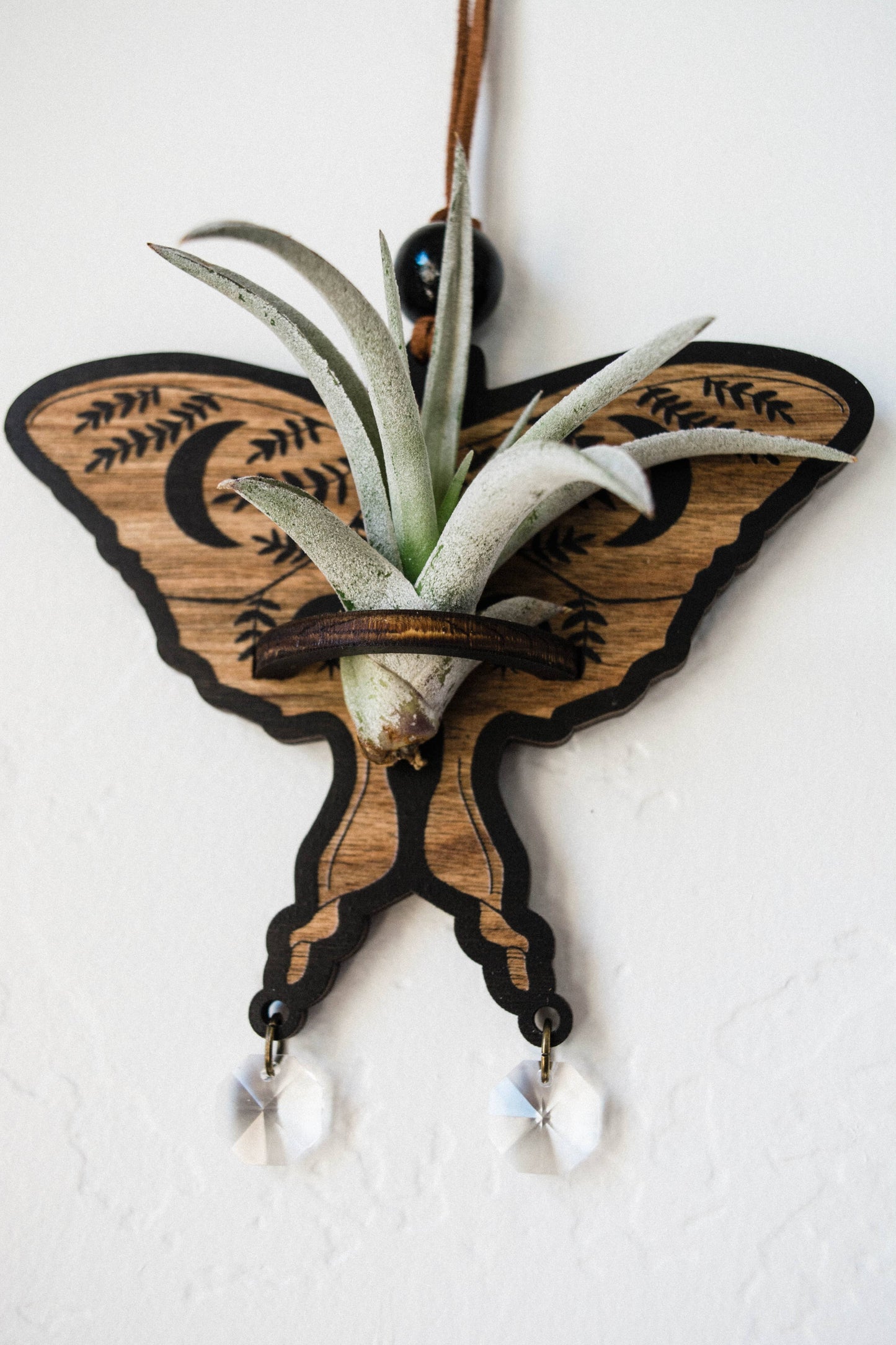 Luna Moth Airplant Holder Hanging Suncatcher