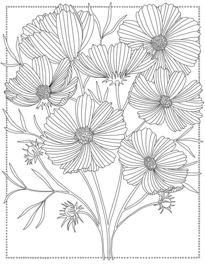 Coloring Through the Year Coloring Book