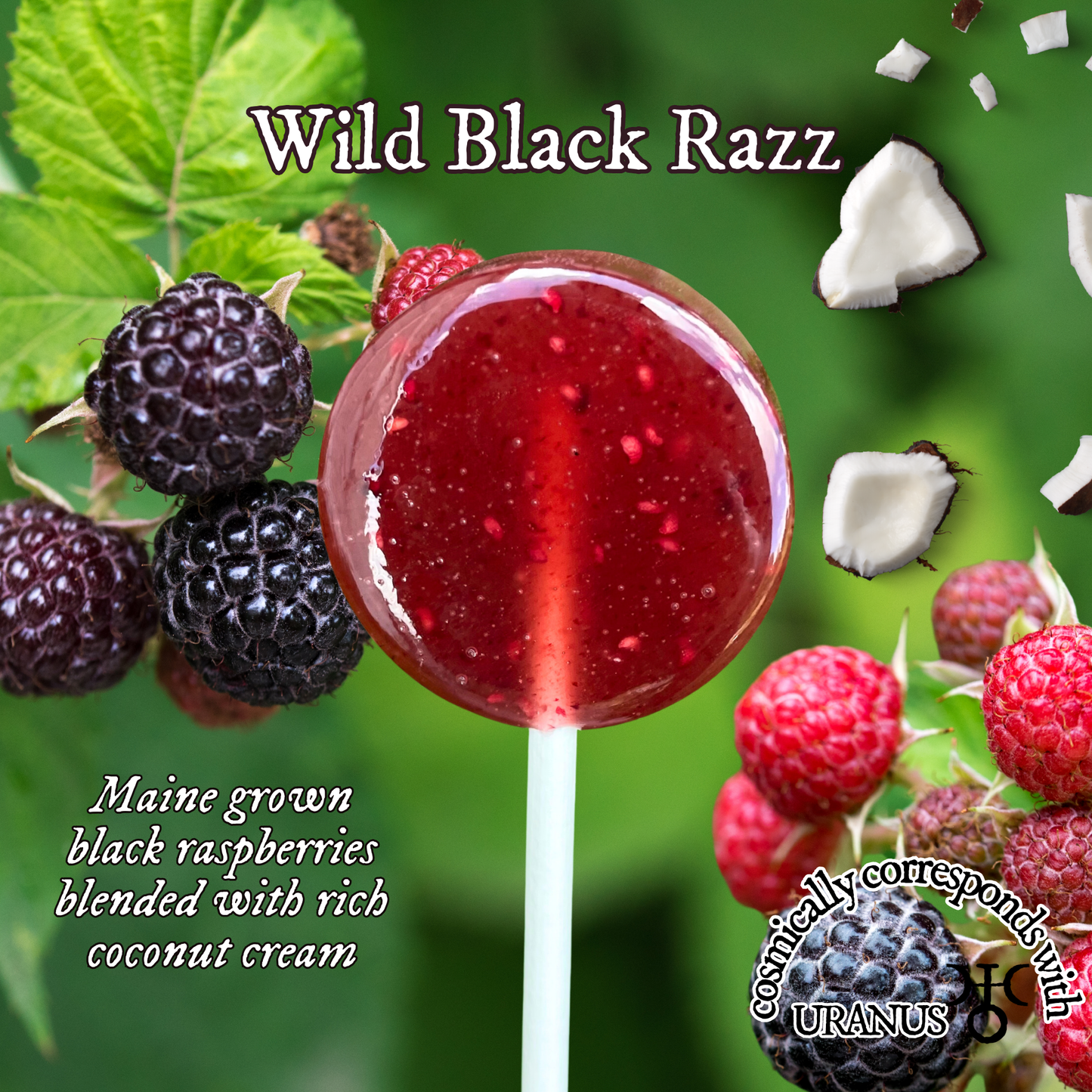 Plants & Planets Lollipops - 2025-2026 Winter Collection
